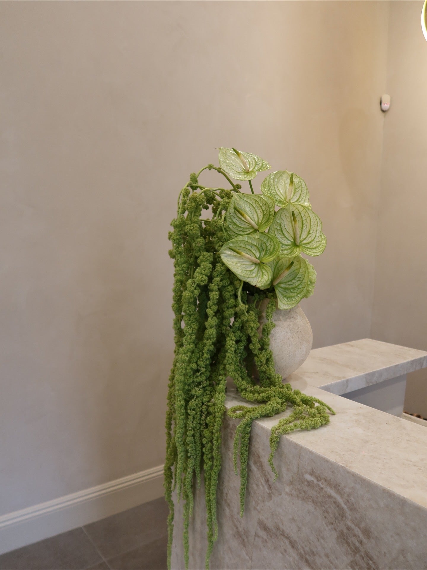 Amaranthus & Anthurium